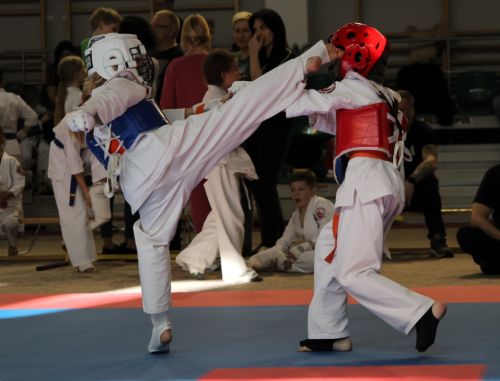 11. edycji Turnieju Karate Shinkyokushin Dzieci i Młodzieży o Puchar Krainy Wielkich Jezior Mazurskich