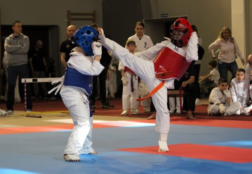 11. edycji Turnieju Karate Shinkyokushin Dzieci i Młodzieży o Puchar Krainy Wielkich Jezior Mazurskich
