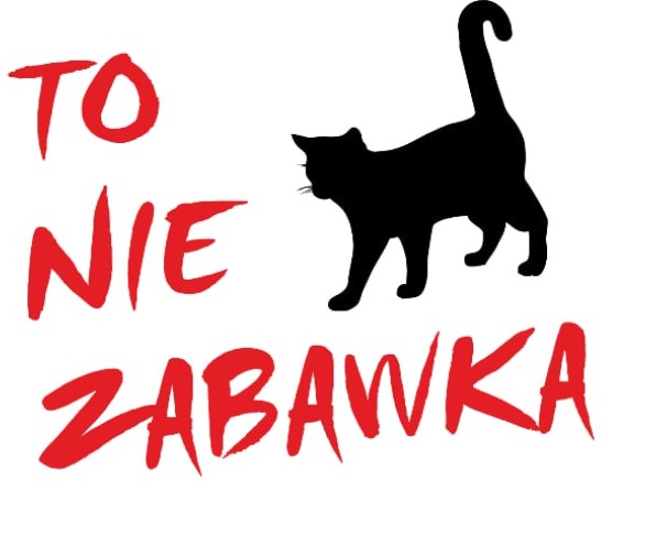 Kot to nie zabawka